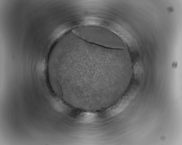 X0000102380352200808151902