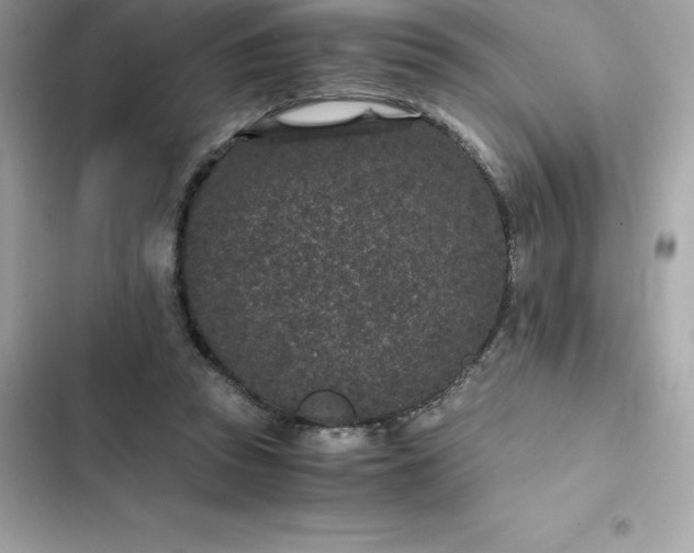 X0000102380353200808151902