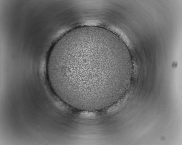 X0000102380354200808151902