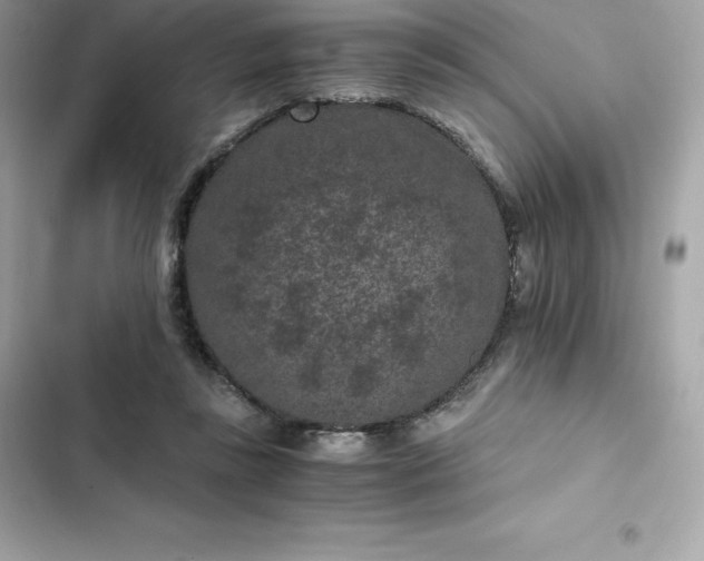 X0000102380355200808151902