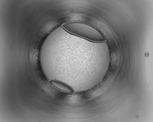 X0000102380356200808151902