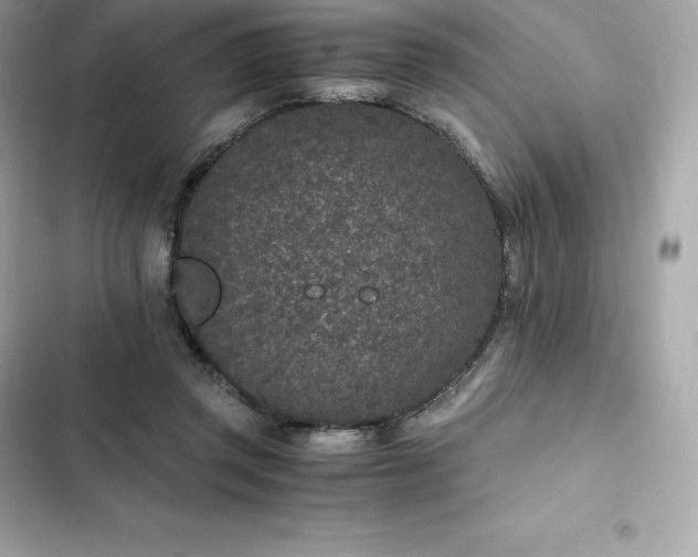 X0000102380357200808151902