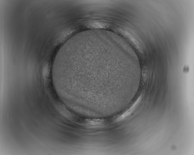 X0000102380359200808151902