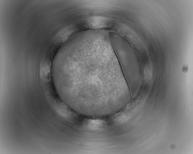 X0000102380360200808151902