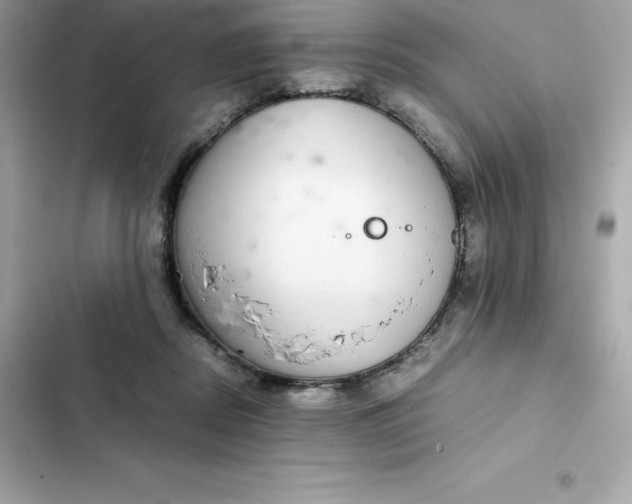 X0000102380362200808151903