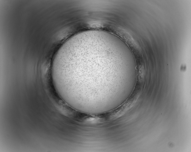 X0000102380364200808151903