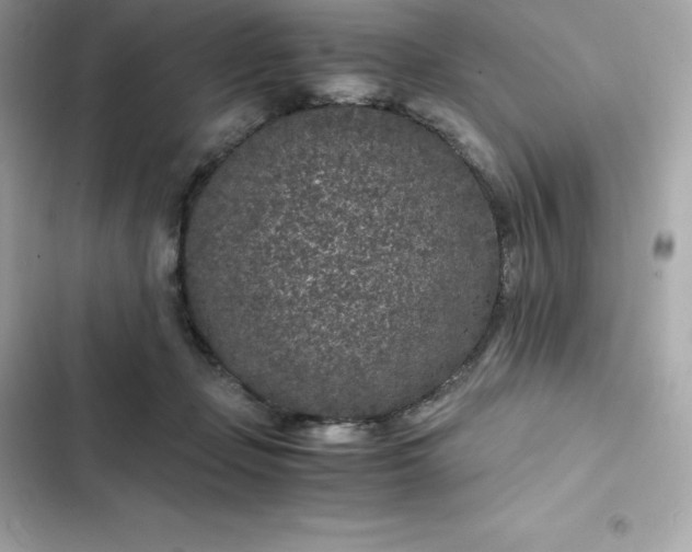 X0000102380365200808151903