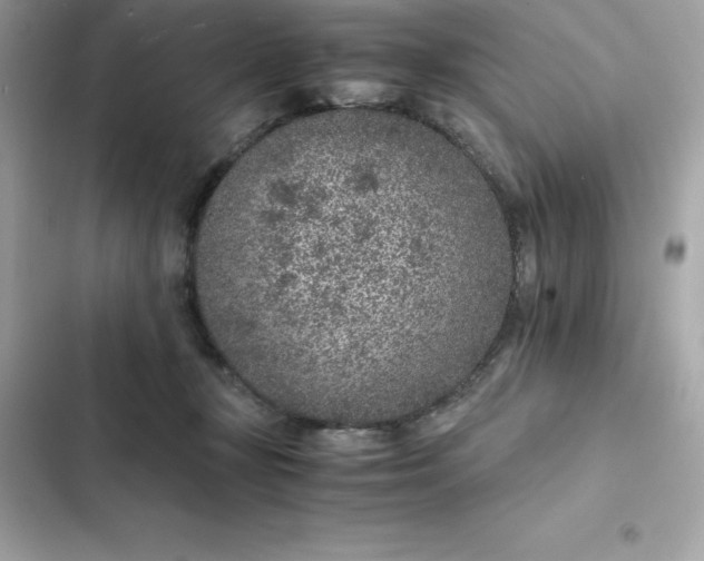 X0000102380367200808151903