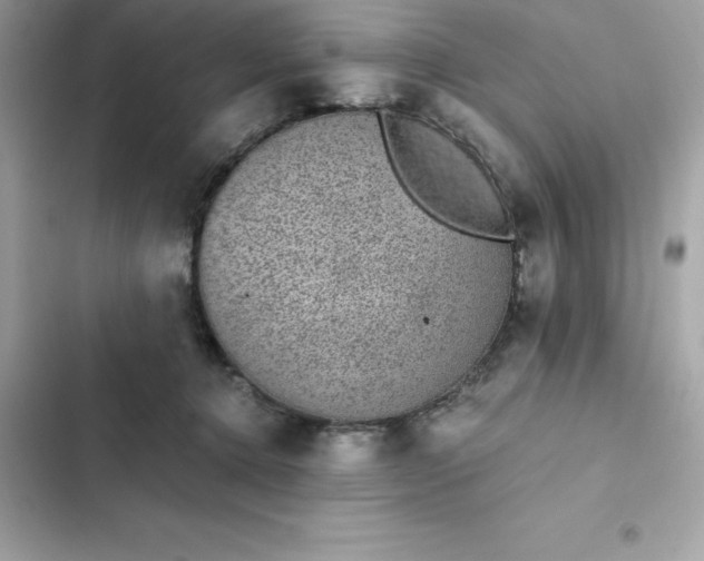 X0000102380368200808151903