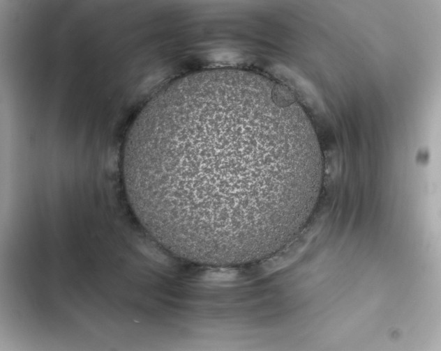 X0000102380369200808151903