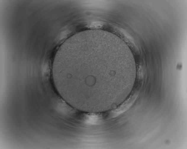 X0000102380370200808151903