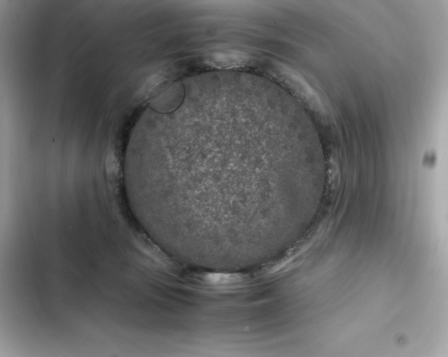 X0000102380371200808151903