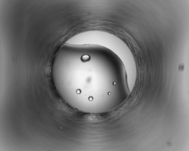 X0000102380372200808151903