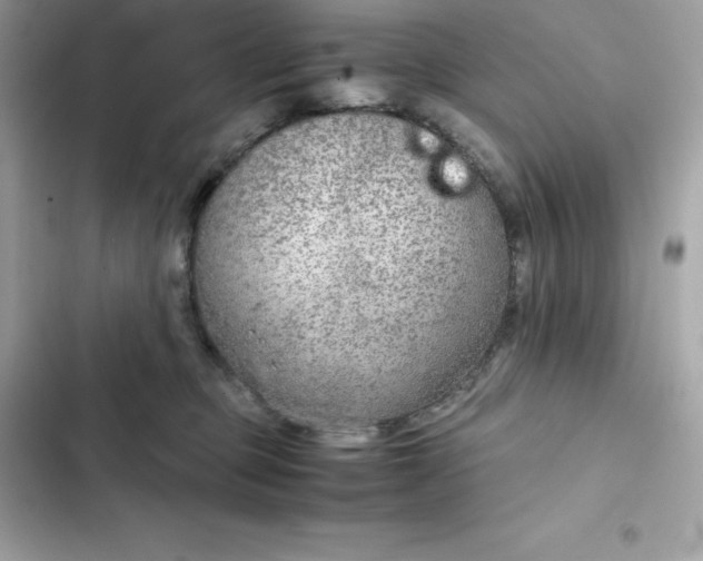 X0000102380373200808151903