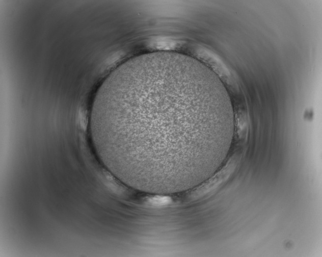 X0000102380374200808151903