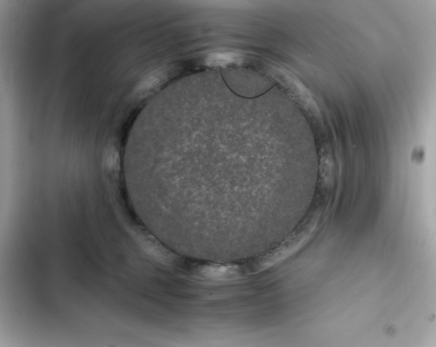 X0000102380375200808151903