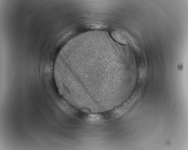 X0000102380376200808151903