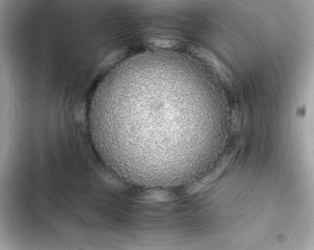 X0000102380377200808151903