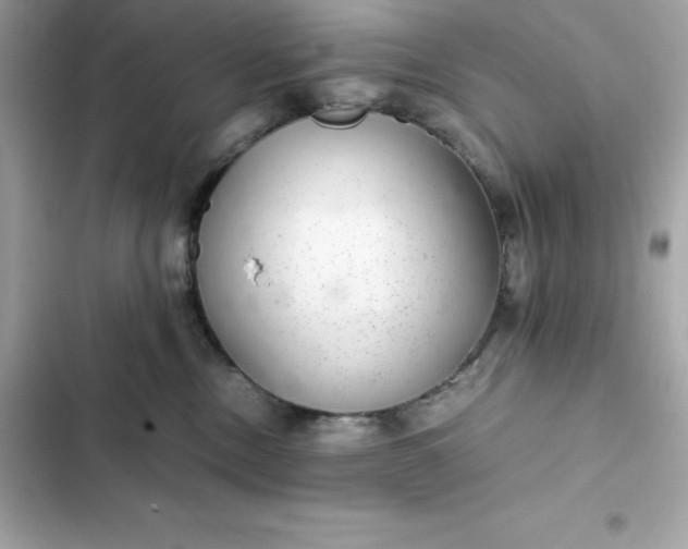 X0000102380378200808151903