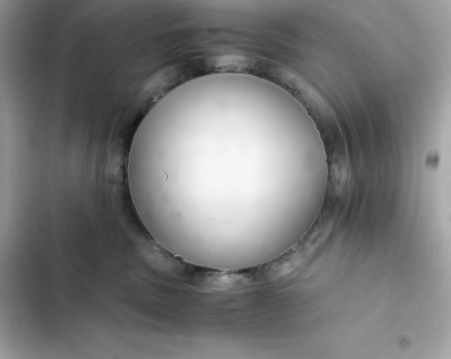 X0000102380379200808151903