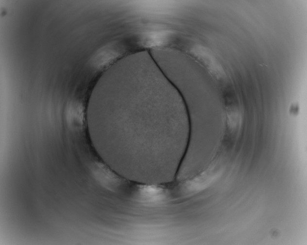 X0000102380380200808151903