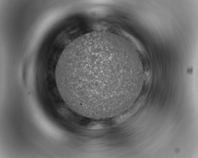 X0000102380381200808151903