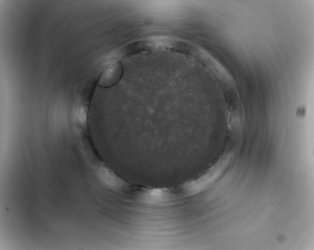 X0000102380382200808151903