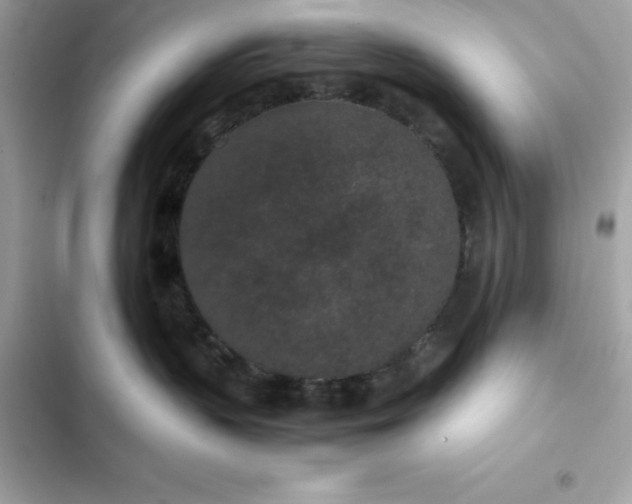 X0000102380383200808151903