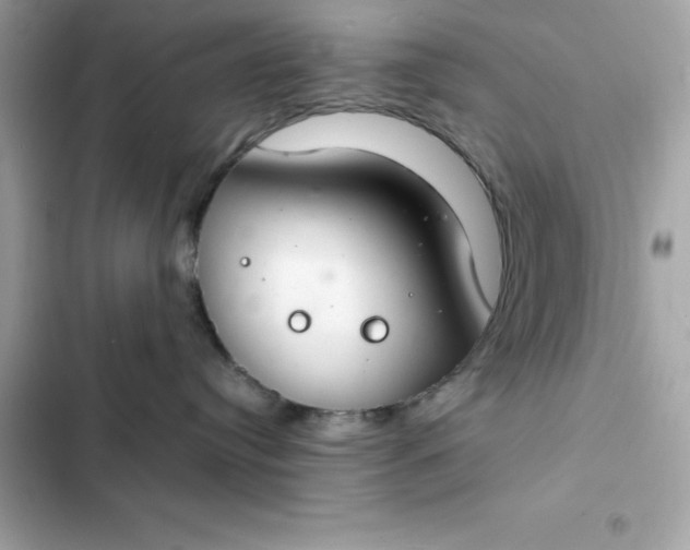 X0000102380384200808151903