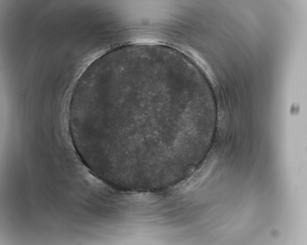 X0000102380385200808151902