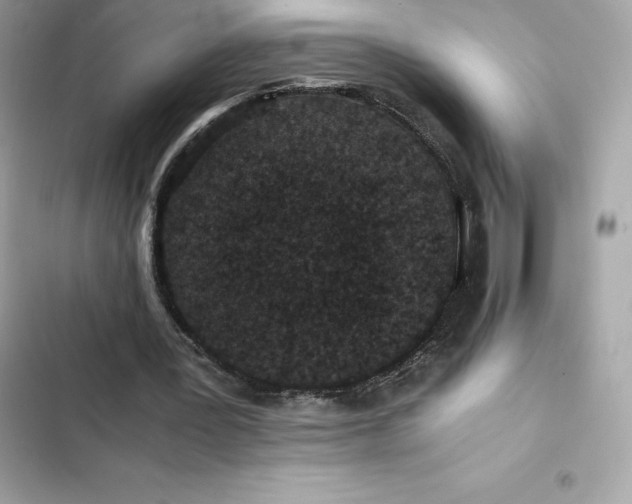 X0000102380387200808151902