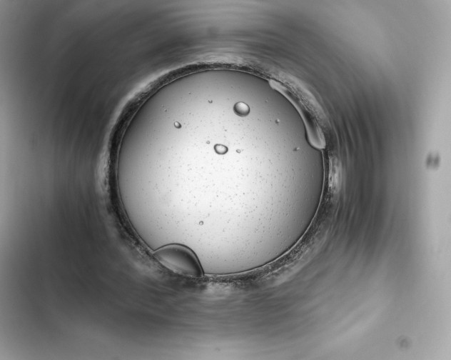 X0000102380388200808151902