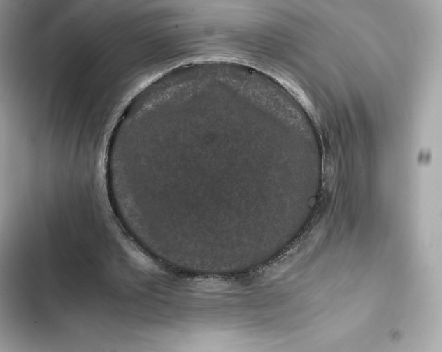 X0000102380389200808151902