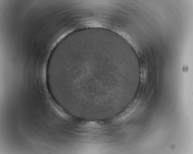 X0000102380390200808151902