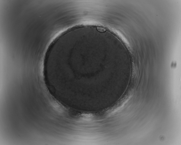 X0000102380391200808151902