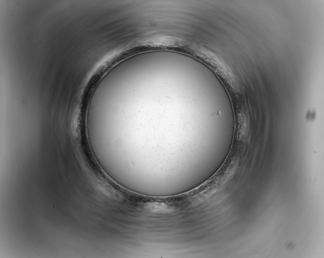 X0000102380392200808151902