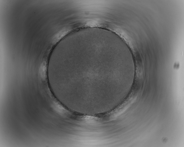 X0000102380393200808151902