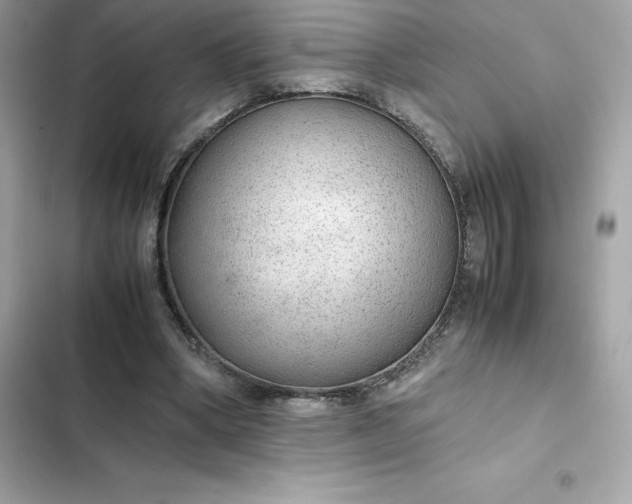 X0000102380394200808151902