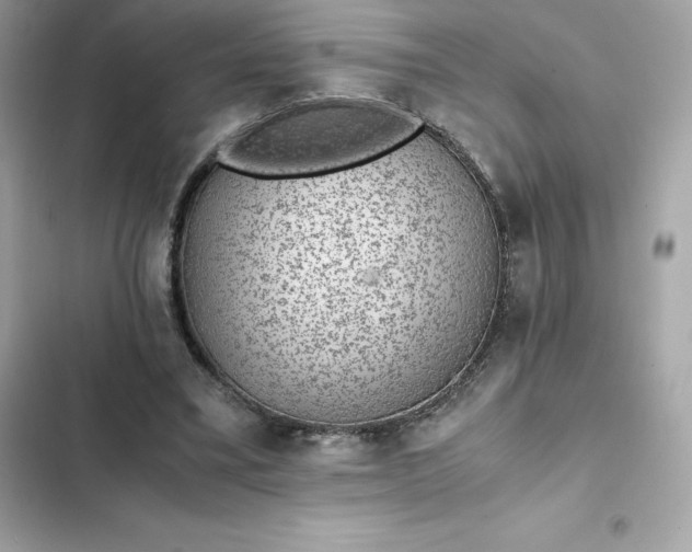 X0000102380395200808151902