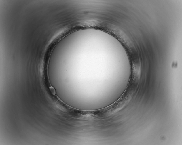 X0000102380396200808151902