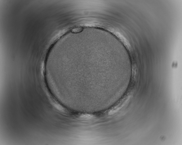 X0000102380397200808151902