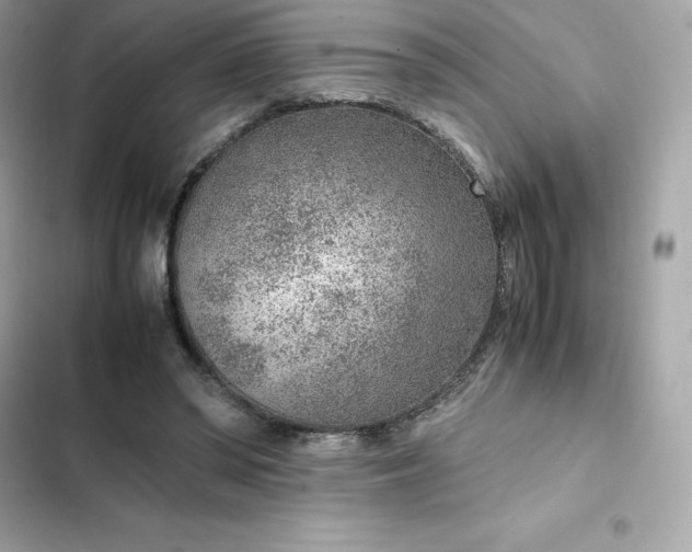 X0000102380398200808151902