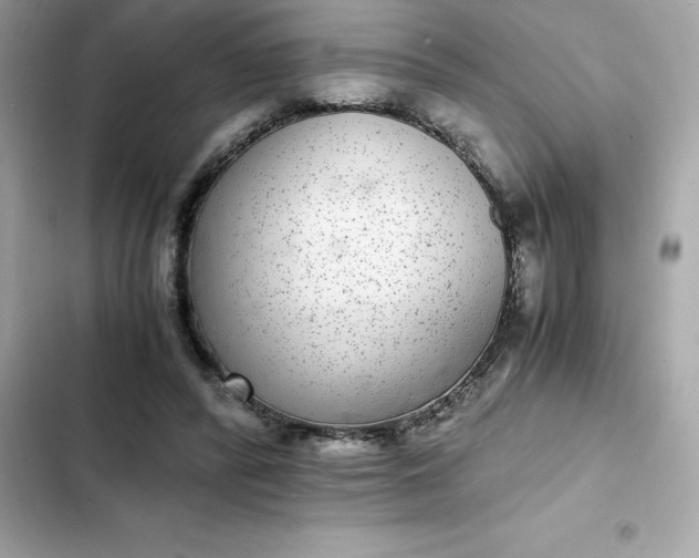 X0000102380400200808151902