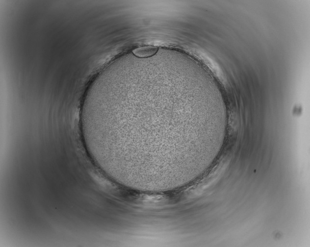 X0000102380401200808151902