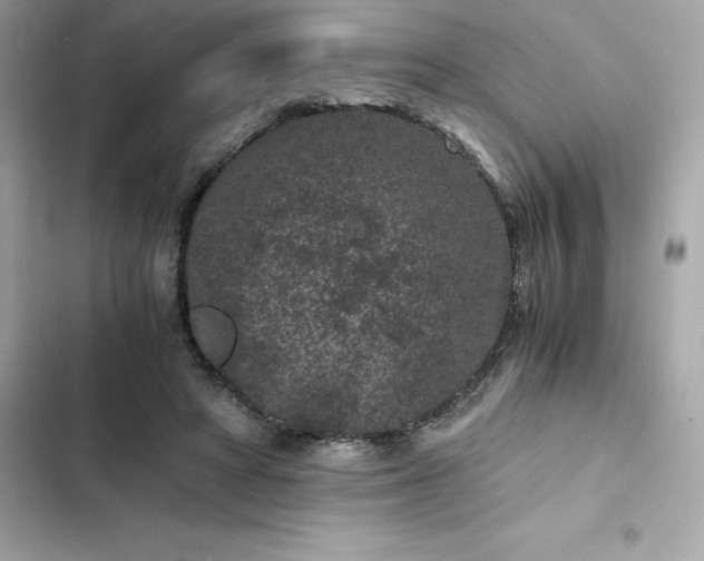 X0000102380402200808151902