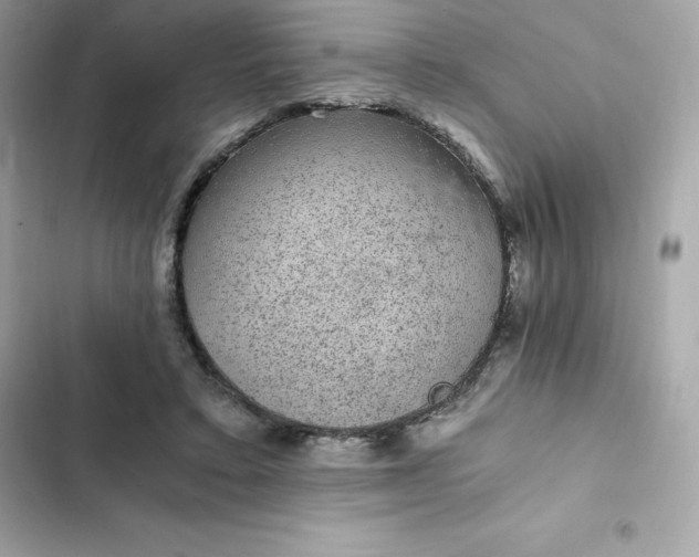 X0000102380403200808151902