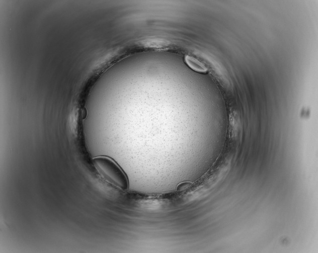 X0000102380404200808151902