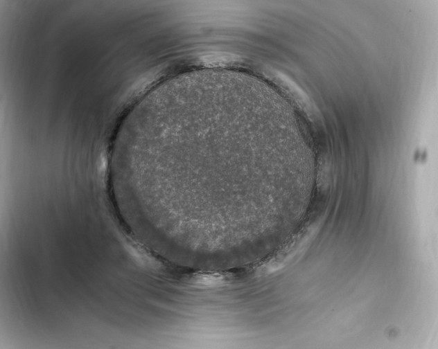 X0000102380405200808151902