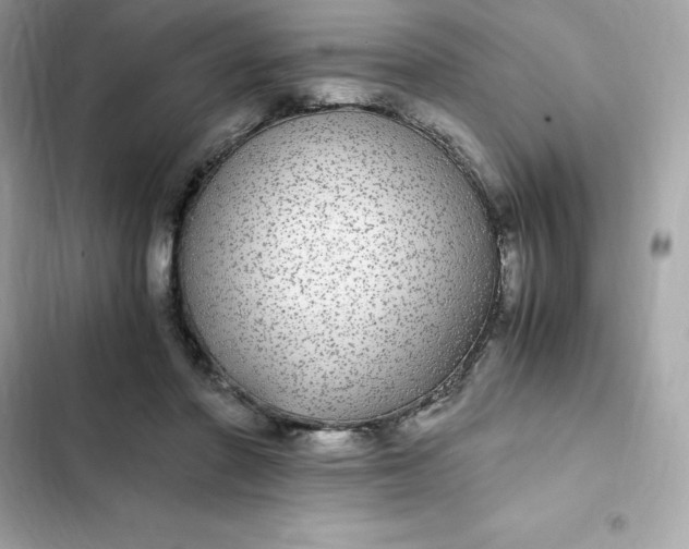 X0000102380406200808151902