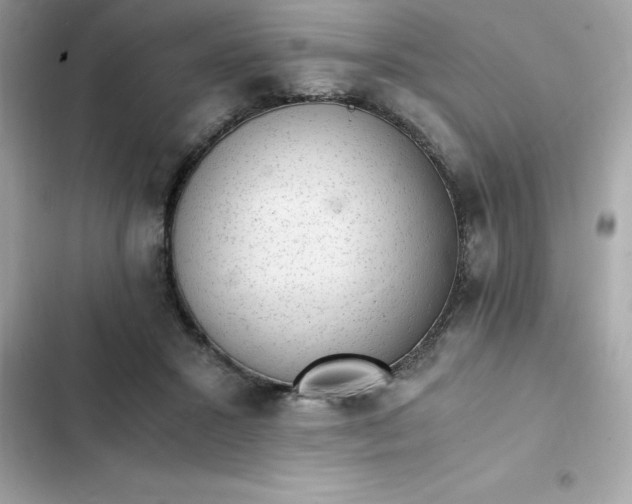 X0000102380407200808151902